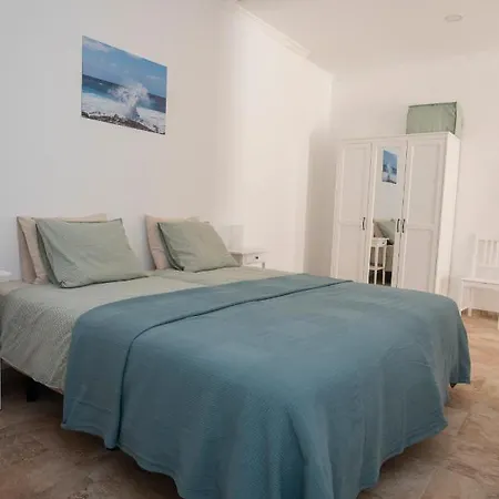 Palmera Aguimes